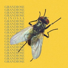 Toki(Prod. by BlackMayo)