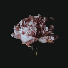 Have Heart - Watch Me Rise (instrumental cover)