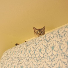 Madeline (Yo La Tengo Cover)