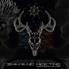 Kushnoizzer - Brainstorming - 188 Bpm - V.A  Shamanic Meeting (Shamanism Rec.)