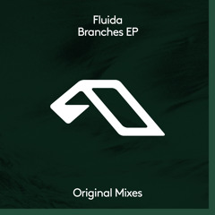 Fluida - Awaken