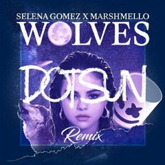 Selena Gomez, Marshmello - Wolves (DOTSUN Remix)