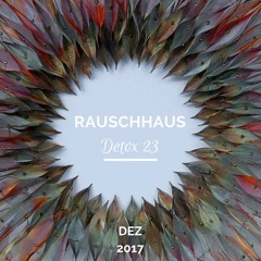 Rauschhaus | Detox