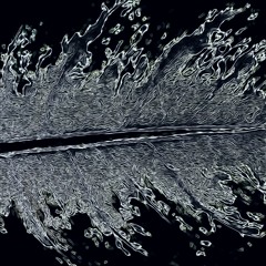 Voices From The Lake (Live)