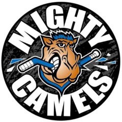 Camel Warmy 2017 -2018