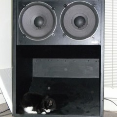 Bass Neccesities