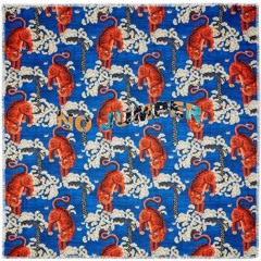 No Jumper prod.satori