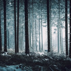 04 Engman - Singularity