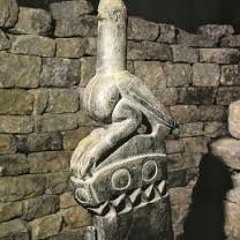 Shiri yeZimbabwe by Mberi MBERI