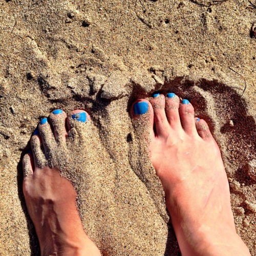 HEATWAVE Weather Forecast Remix