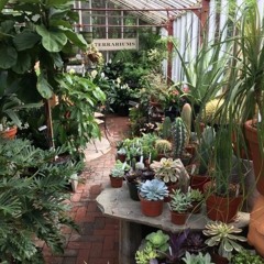 Docbrbchevy- Sklenník