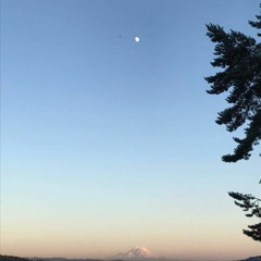 Widow's Watch (Acoustic)