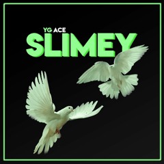YG ACE - Slimey