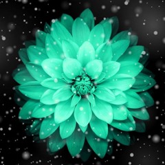 Snail's House - Ordinary Songs [Full Album]