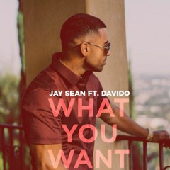 Jay Sean, Davido - What You Want (AlexLuka & Sinned Remix)