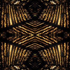 Doing it to Death (Kills cover)