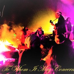 Honey There's Sharks In The Pool Again!