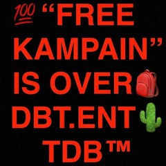 THE DESERT BABY "THE SYSTEM"