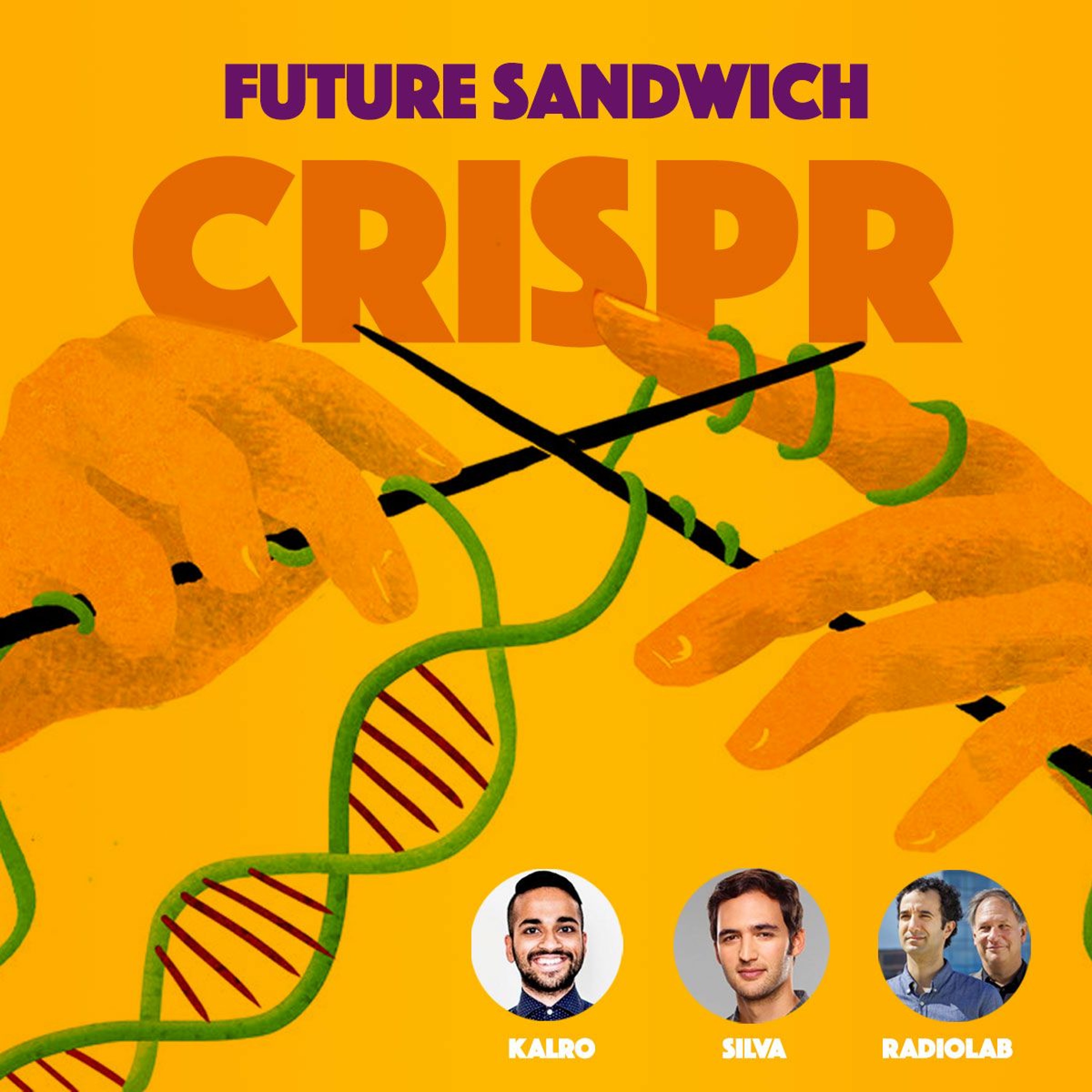 CRISPR's Consequences