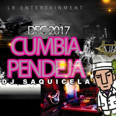 CUMBIA DE LA PENDEJA 17 (7:41pm)
