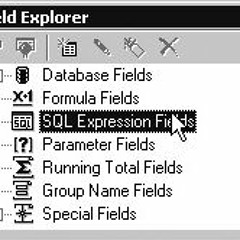 Experssion Fields
