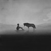 wolves-by-selena-gomez-marshmello-piano-cover-ladisarthamusic