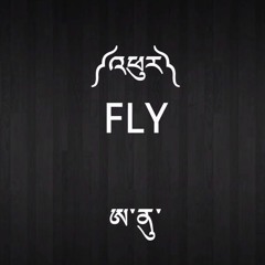 ANU - FLY（飛）内地藏族组合电音 (DJRicky 2017 MixUp)