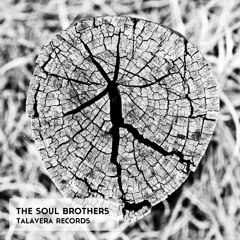 The Soul Brothers - Vuelo (Original Mix)