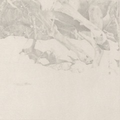Glowworm - Contrails