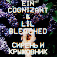 Сирень и Крыжовник:RETROGRADE (Lilac and Gooseberries)