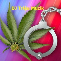 NÓI KHÔNG VỚI MA TÚY ^^ DJ TRIỆU MUZIK Mix (Fly Vol.46).mp3 (188.7MB)