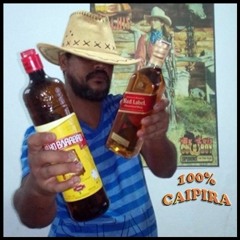 26. João Carreiro e Capataz e Tião Carreiro e Pardinho - Arreio de Prata