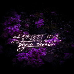 Forget Me ( SYNE remix )
