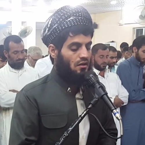 الشيخ رعد الكردي / سوره الملك