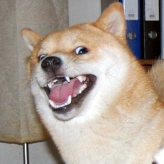 TEST LOOP  #หัดเขียนเด้ออ!!!!