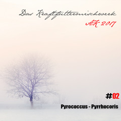 2017 #02: Pyrococcus - Pyrrhocoris