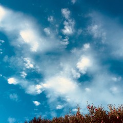 Don't make that mama cry