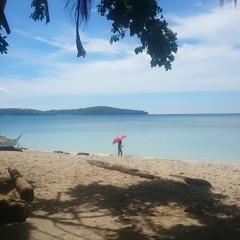 2017-11 Monthly Compilation November