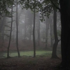 Autumn Leaves - NOVEMBER 2017 \\ Coldwave/Post Punk/Minimal Synth/Synthpop/Goth
