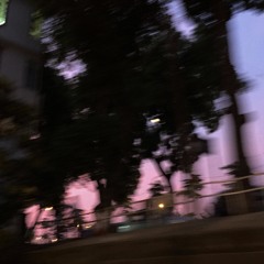 s a d
