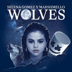 Selena Gomez X Marshmello - Wolves (Vanrip Remix)