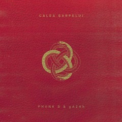 Phunk B-Geometrie sacră (Prod. gAZAh)