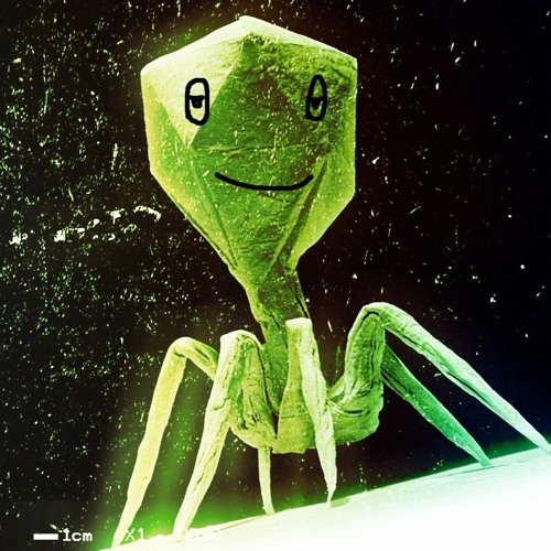 ViRuS