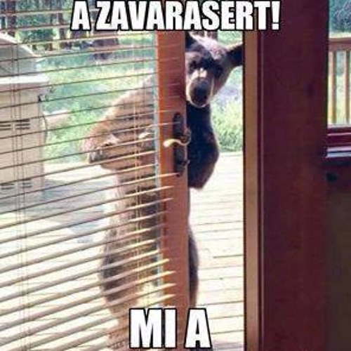 L.L-junior - Jószivu - Csibész