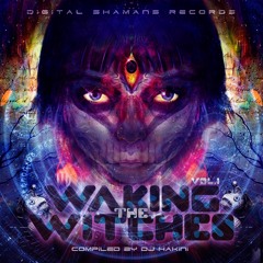 VA - Waking The Witches vol.1 compiled by Djane Hakini OUT NOW