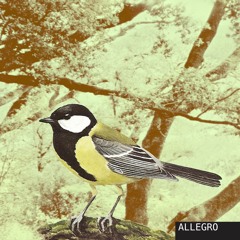 Allegro (Preview)