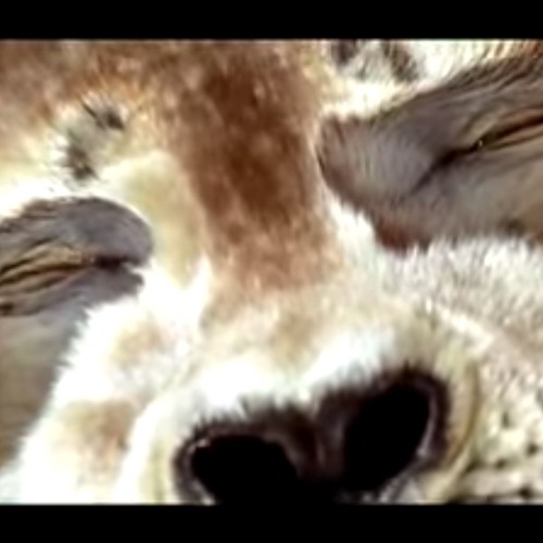 Klaus Veen - It's A Beautiful Day