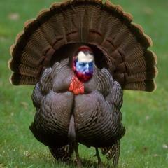 It's Thanksgiving (NEW ORIGINAL HOLIDAY CLASSIC)