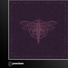 Premiere: Sex Of Insects - All I Have A Know (Banco De Gaia Remix)- Ylotana Music