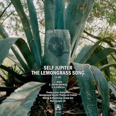 The Lemongrass song Produced by Peter Hellacello Jacobson Feat. Thelma De Freitas